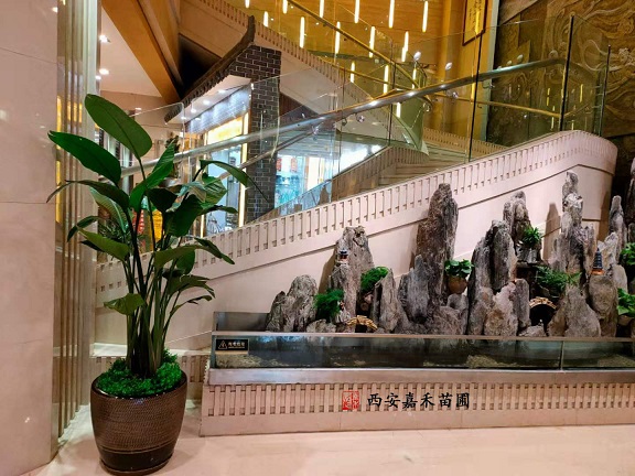 西安酒店绿植花卉租赁方案